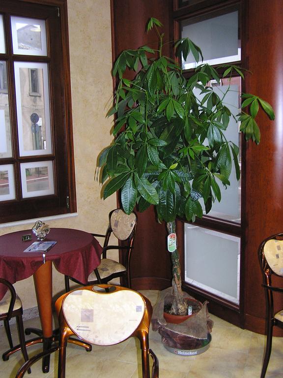 Hotel Mistral Portoscuso Extérieur photo